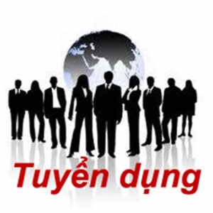 Tuyển nhân viên seo, quản trị website và nhân viên bán hàng online tại shop